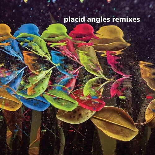 Placid Angles: Touch The Earth Remixes