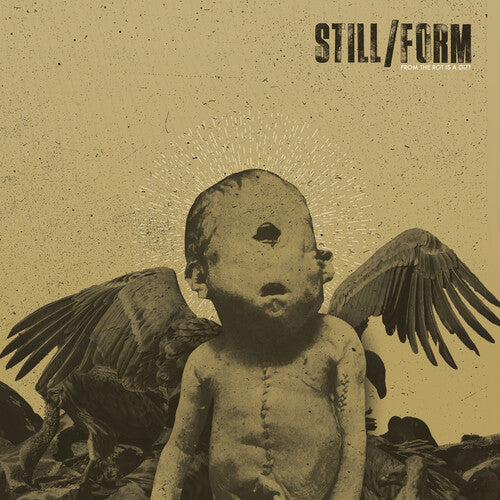 Still/Form: From The Rot Is A Gift