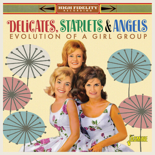 Delicates Starlets & Angels: Evolution Of A Vocal Group