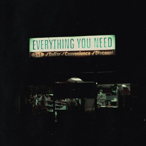 Single Mothers: EVERYTHING YOU NEED - VINYL LP