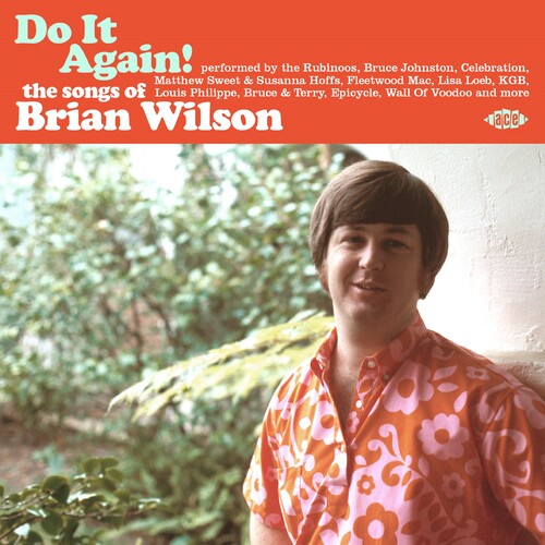 Do It Again: The Songs of Brian Wilson / Various: Do It Again! The Songs Of Brian Wilson / Various