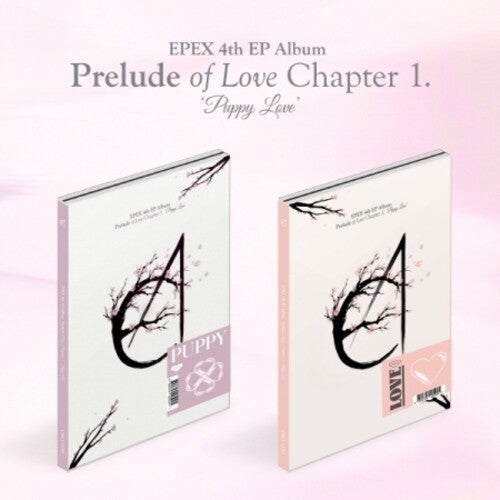 Epex: Prelude Of Love Chapter 1. Puppy Love - Random Cover - incl. Photo Book, Lyric Poster, 16 Photo Card Set, 8 Tin Soldier Card Set + Sticker