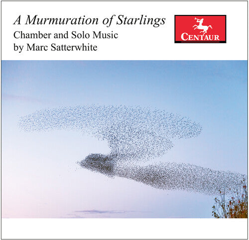 Satterwhite / Karr / Mattingly: A Murmuration of Starlings