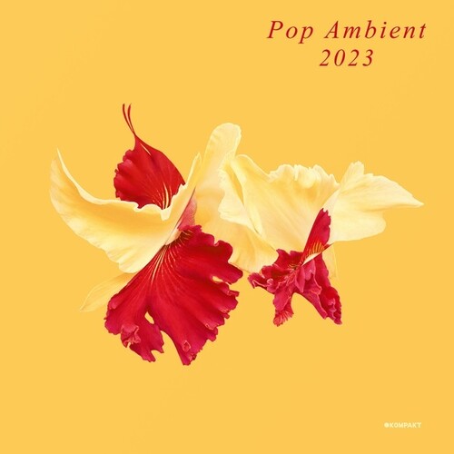 Pop Ambient 2023 / Various: Pop Ambient 2023