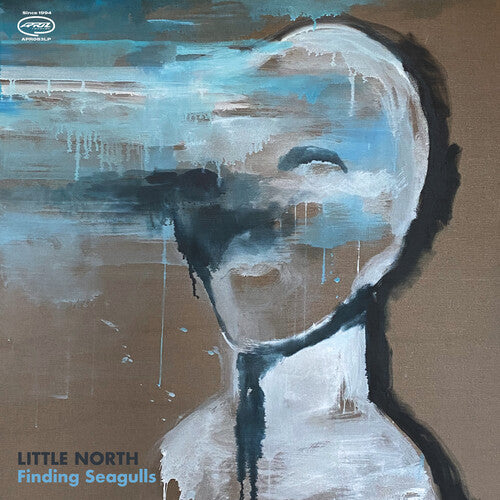 Little North: Finding Seagulls