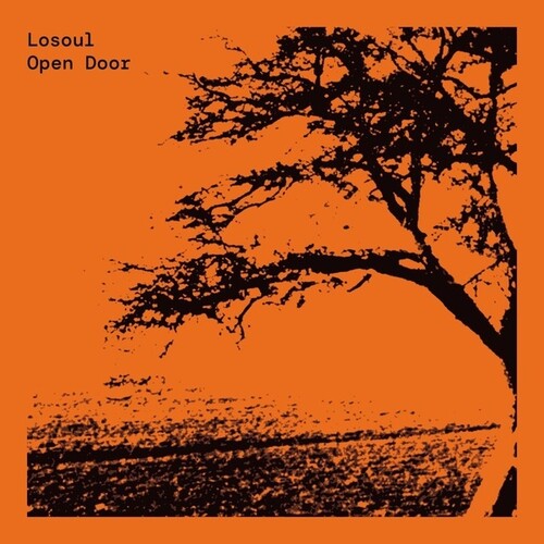 Losoul: Open Door