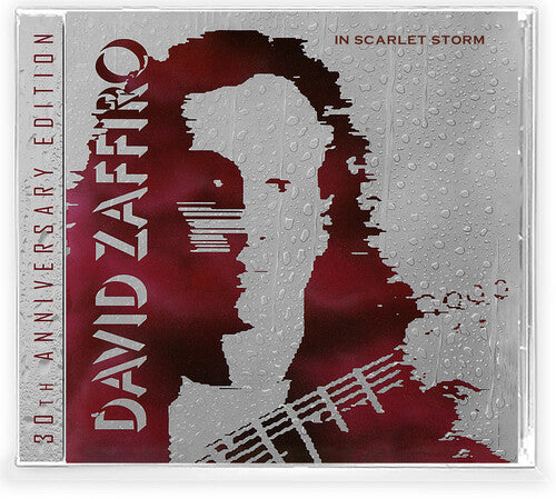 Zaffriro, David: In Scarlet Storm