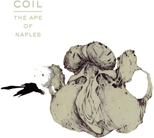 Coil: Ape Of Naples - White