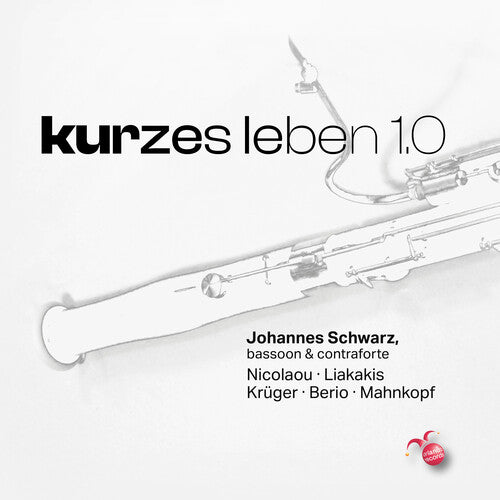 Schwarz, Johannes: Kurzes Leben 1.0