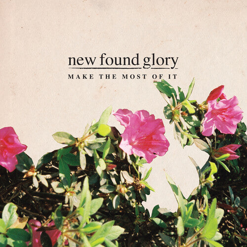 New Found Glory: Make The Most Of It