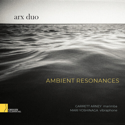 Arx Duo: Ambient Resonances