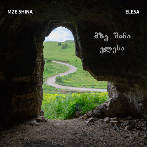 Mze Shina: Elesa