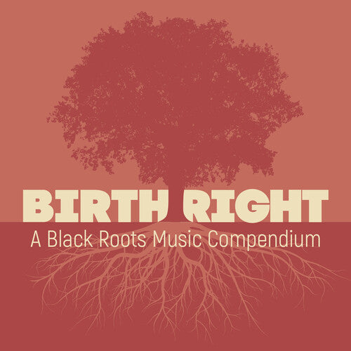 Birthright: A Black Roots Music Compendium / Var]: Birthright: A Black Roots Music Compendium (Various Artists)