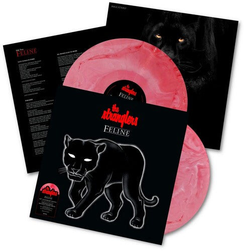 Stranglers: Feline