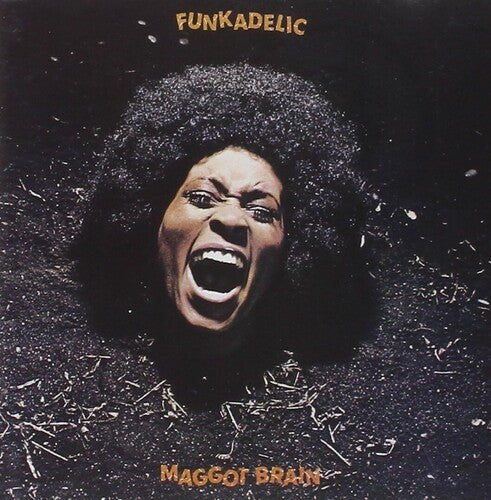 Funkadelic: Maggot Brain