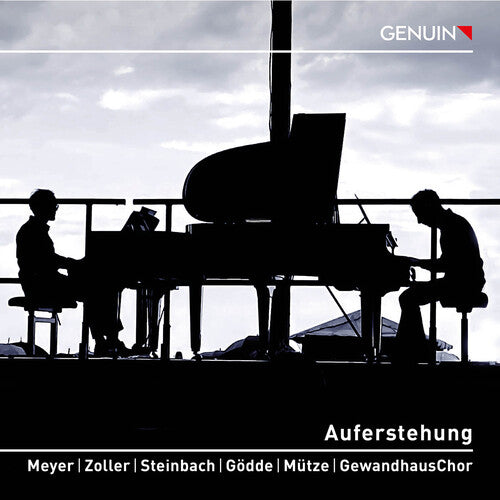 Mahler / Meyer / Zoller: Auferstehung