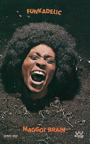 Funkadelic: Maggot Brain