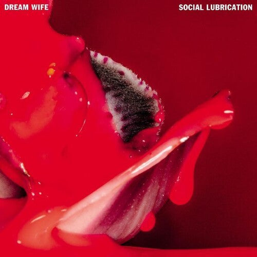 Dream Wife: Social Lubrication