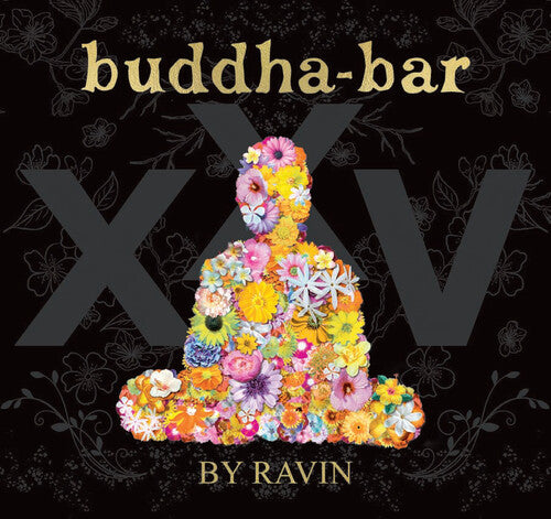 Buddha Bar Xxv / Various: Buddha Bar XXV / Various