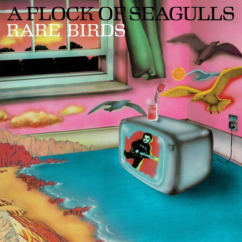 Flock of Seagulls: Rare Birds: A Flock Of Seagulls' B-Sides