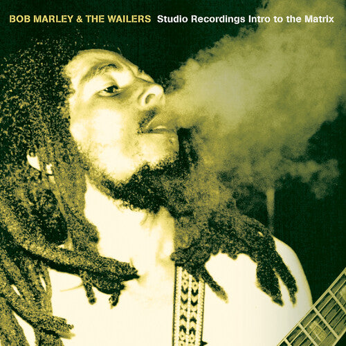 Marley, Bob & the Wailers: Studio Recordings Intro To The Matrix