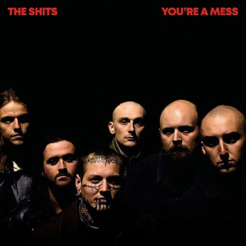 Shits: You're A Mess - VINYL LP