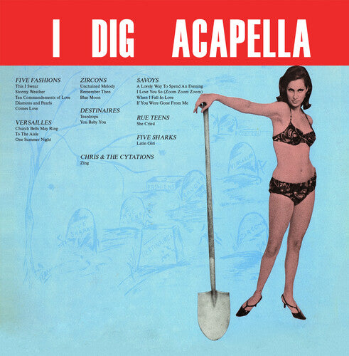 Various Artists: IDigAcappella(2023Remaster)