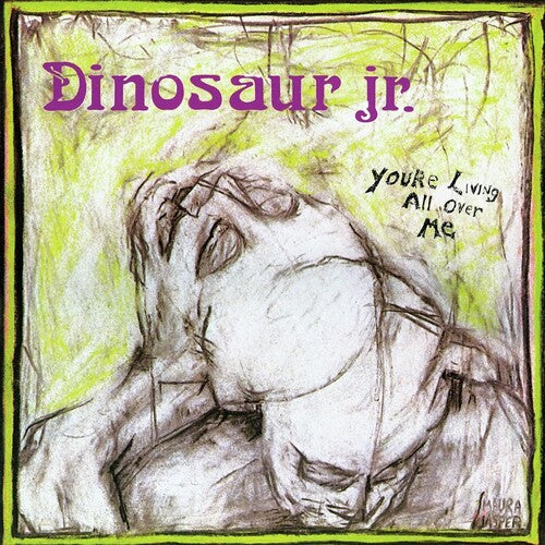 Dinosaur Jr: You're Living All Over Me