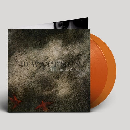 40 Watt Sun: The Inside Room - VINYL LP