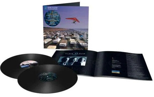 Pink Floyd: Momentary Lapse Of Reason