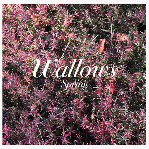 Wallows: Spring