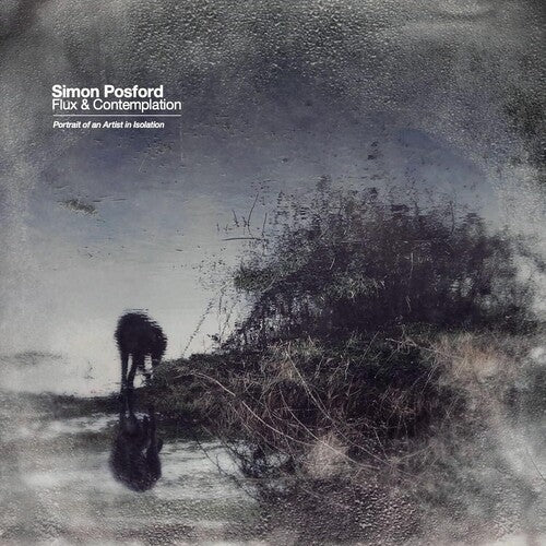 Simon Posford: Flux & Contemplation: Portrait Of An Artist In Isolation - VINYL LP