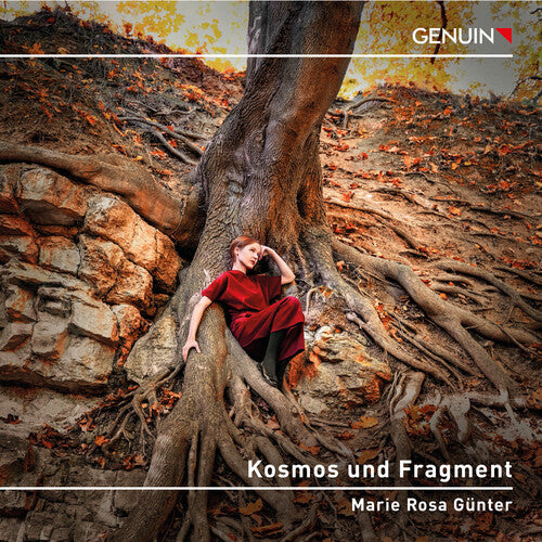 Kallmeyer / Webern / Beethoven: Kosmos Und Fragment