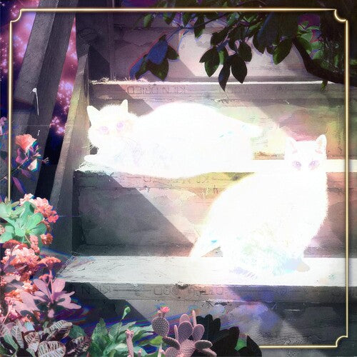 Scary Jokes: Retinal Bloom - VINYL LP