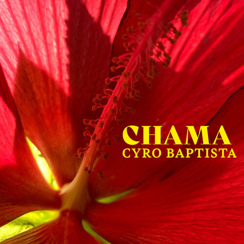 Baptista, Cyro: Chama