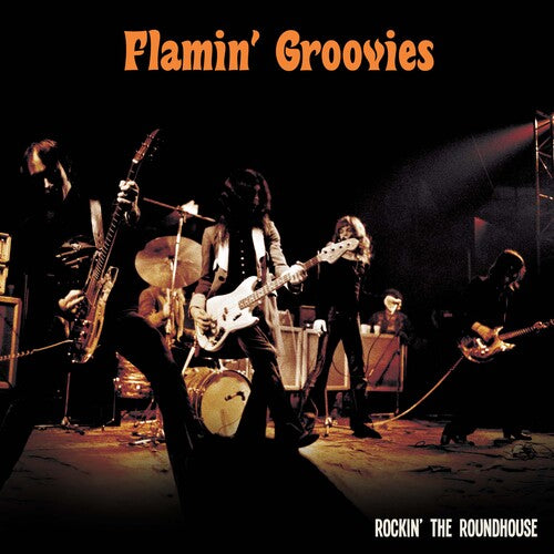 Flamin' Groovies: Rockin' The Roundhouse