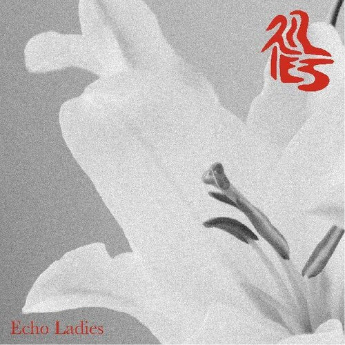 Echo Ladies: Lilies