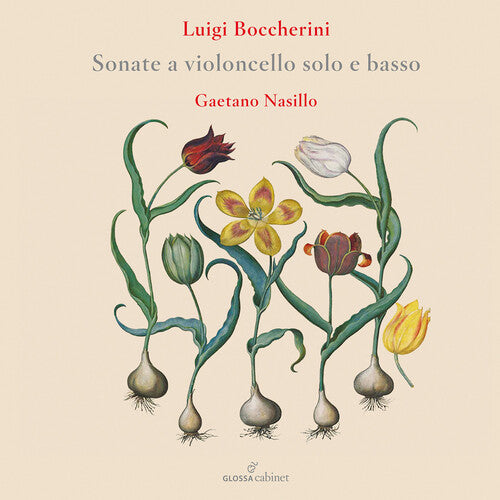 Boccherini / Nasillo: Flute Concertos