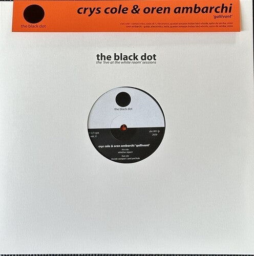 Ambarchi, Oren / Cole, Crys: Gallivant - VINYL LP