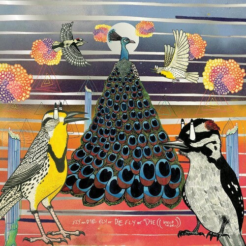 Jaimie Branch: Fly Or Die - VINYL LP