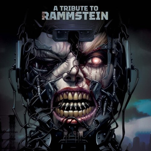 Tribute to Rammstein / Various: A Tribute To Rammstein (Various Artists)