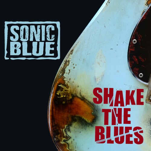 Sonic Blue: Shake The Blues