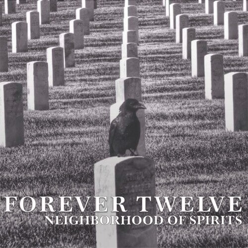 Forever Twelve: Neighborhood Of Spirits