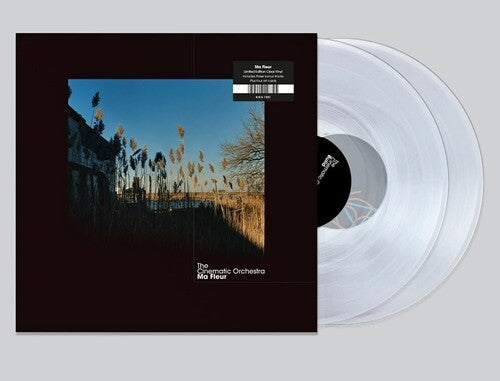 Cinematic Orchestra: Ma Fleur - Colored Vinyl