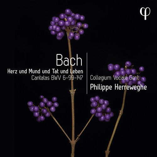 Bach, J.S. / Herreweghe: Erz Und Mund Und Tat Und Leben - Cantatas, BWV