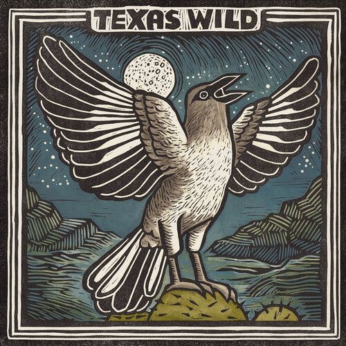 Texas Wild / Various: Texas Wild (Various Artists)