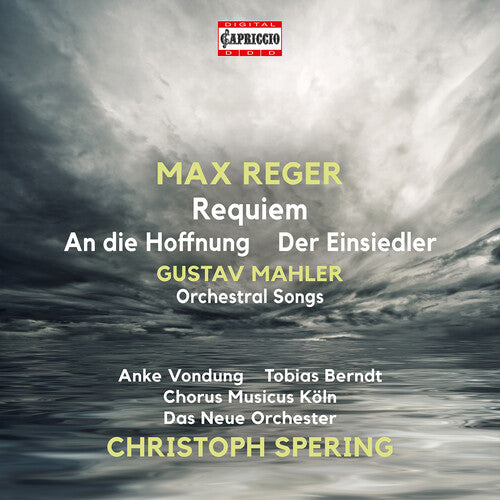 Mahler / Reger / Das Neue Orchester: Orchestral Songs