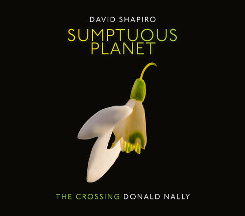 Shapiro / Crossing: Sumptuous Planet