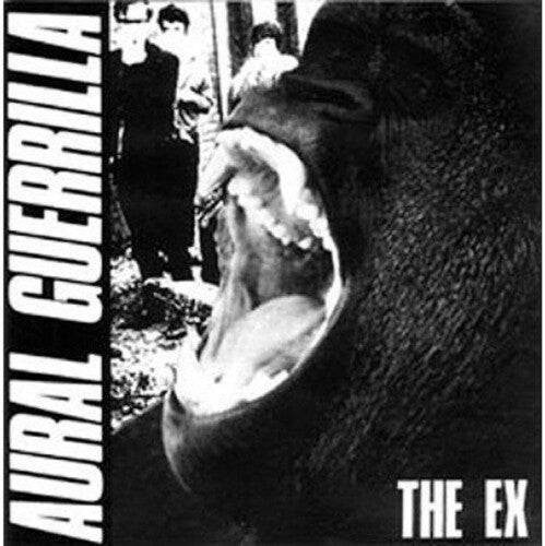 Ex: Aural Guerrilla