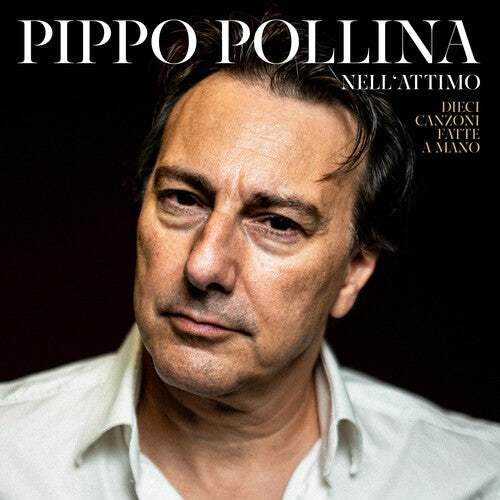 Pippo Pollina: Nell'attimo - VINYL LP